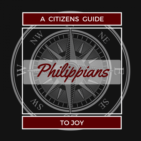 A Citizen’s Guide to Joy: Joyful Partnership